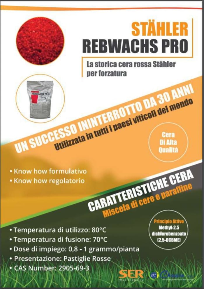 1_CERA ROSSA_SCHEDA REB PRO ITA 1