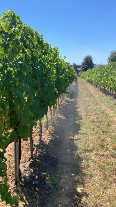 1_ESPERIENZA_PHOTO-2024-03-27-13-03-39