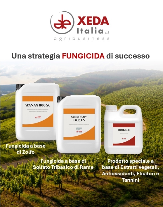 1_LA DIFESA _Articolo marketing