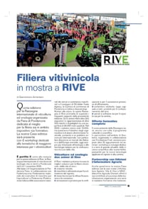 filiera-vitivinicola-thumbnail